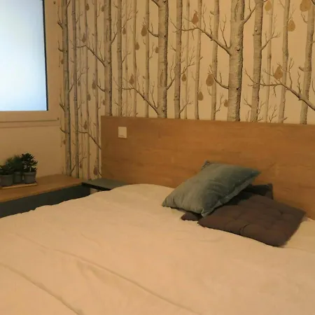 Renove Avec Balcon, Parking Et Acces Direct A La De Trestraou - - Fr-1-368-260 *